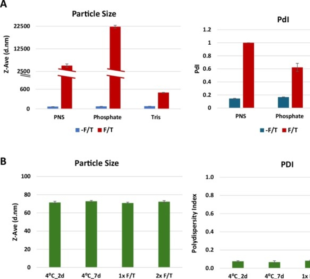 Lipid Nanoparticle Development for Bivalent mRNA Vaccine