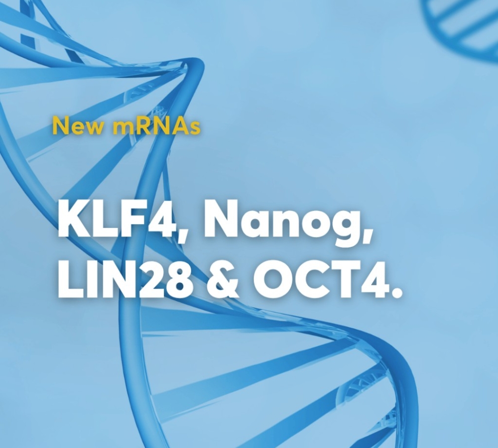 The transcritption factors mRNA range is expanding!