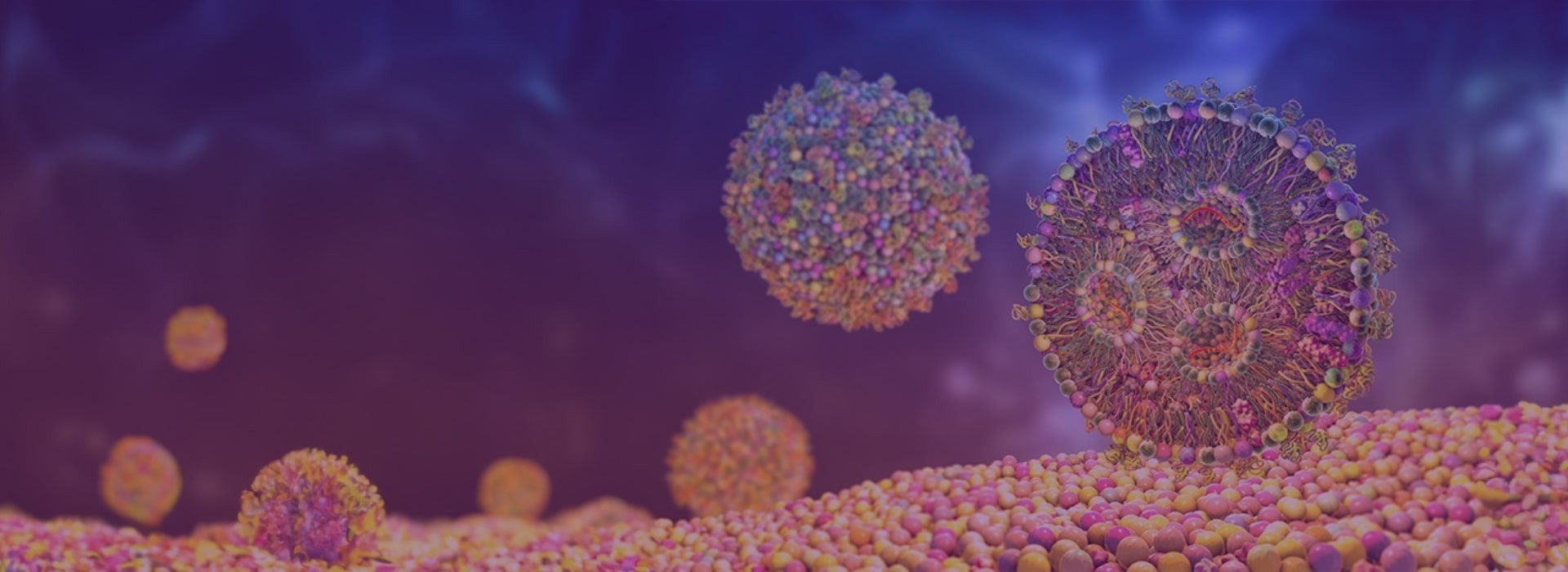 GFP, GAPDH & Cy5-labelled controls